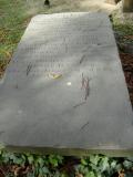 image of grave number 175661
